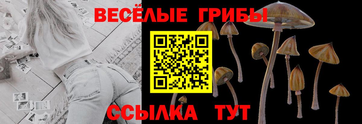 сколько стоит  Галлюциногенные грибы мицелий  Приморско-Ахтарск  Вход с VPN  Галлюциногенные грибы GOLDEN TEACHER 